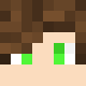 avatar ___Oak skin