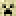 Minecraft avatar for NascarChamp22