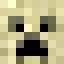 Minecraft avatar for NascarChamp22