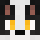 BorderCollie_ Minecraft head