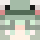 rainfroq Minecraft head