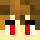 HansGetTheWerfer Minecraft head