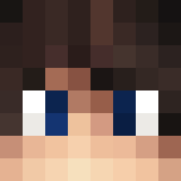 The shop owners Minecraft face
