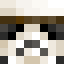 Minecraft players skin