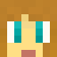 Minecraft players skin