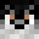 avatar Husky skin