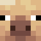 avatar yYpp__ skin