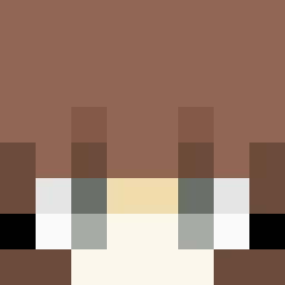 The shop owners Minecraft face