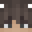 Minecraft players skin