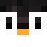 Minecraft profile picture for @DSL