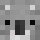 SiLVerSuRFer23 Minecraft head