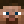 MagicPaco