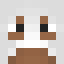 Minecraft players skin