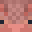 Armadillo