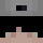 4polarr Minecraft head