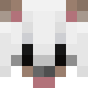 avatar ZalosneXd skin