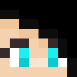 The shop owners Minecraft face