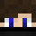 navshlav Minecraft head