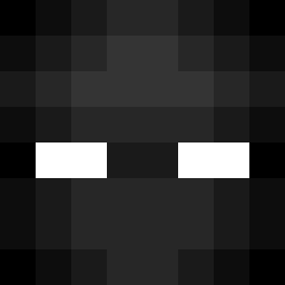 The shop owners Minecraft face