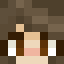 Minecraft players skin