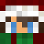 Minecraft players skin