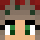 sr8611 Minecraft head