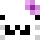 federaries Minecraft head