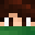 Fly_BR