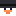 Minecraft avatar for Ducke15_