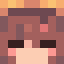 Minecraft players skin