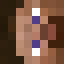 Minecraft players skin