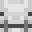 Skeleton Horse