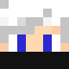 Minecraft players skin