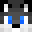 Rayze11