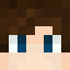 Minecraft players skin