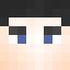 Minecraft players skin