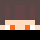 mathferm Minecraft head