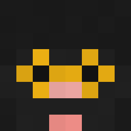 The shop owners Minecraft face