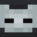 TheVoxelSage