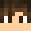 Minecraft players skin