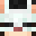 Cev6148 Minecraft head