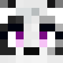 enzycollie