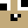 NotPotz Minecraft head