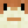 ilikeguineapigs Minecraft head