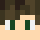 1imb Minecraft head