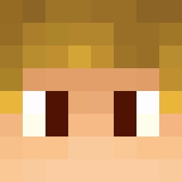 The shop owners Minecraft face