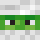 willywaggler99 Minecraft head
