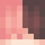 Minecraft players skin