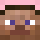 MEG4_NUT5 Minecraft head