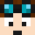 Skin van dantdm